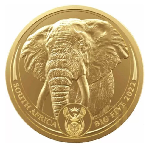 Złota moneta bulionowa Słoń RPA z serii BIG FI